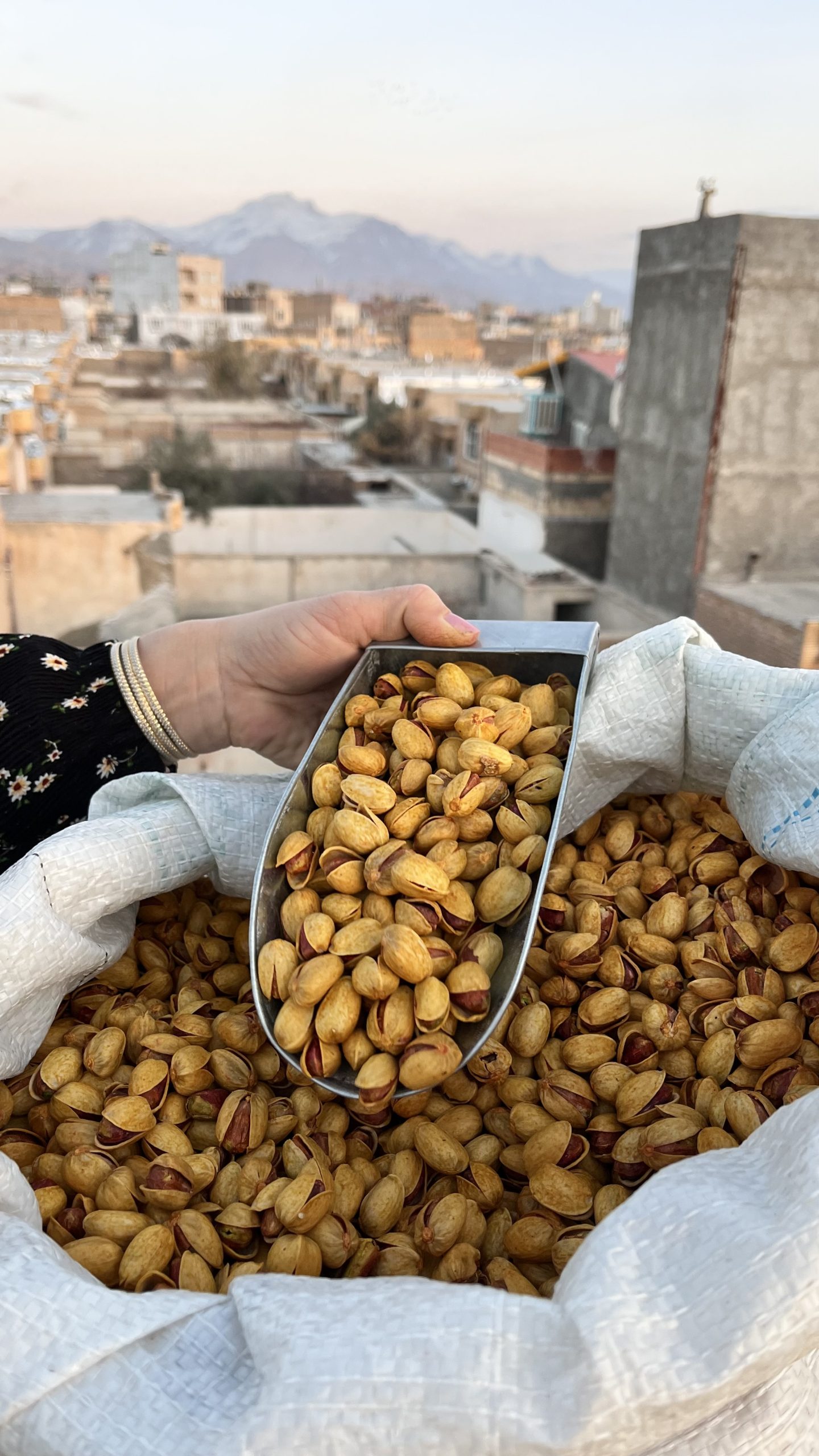 پسته کله قوچی لوکس بوداده زعفرانی